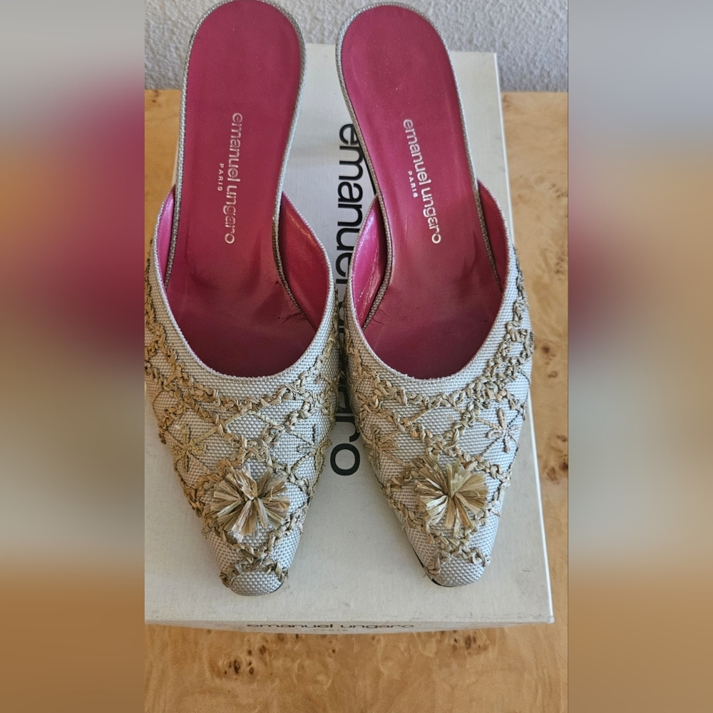 Emanuel Ungaro Gold-Trimmed Woven Pointed Mule with Pink Insole
